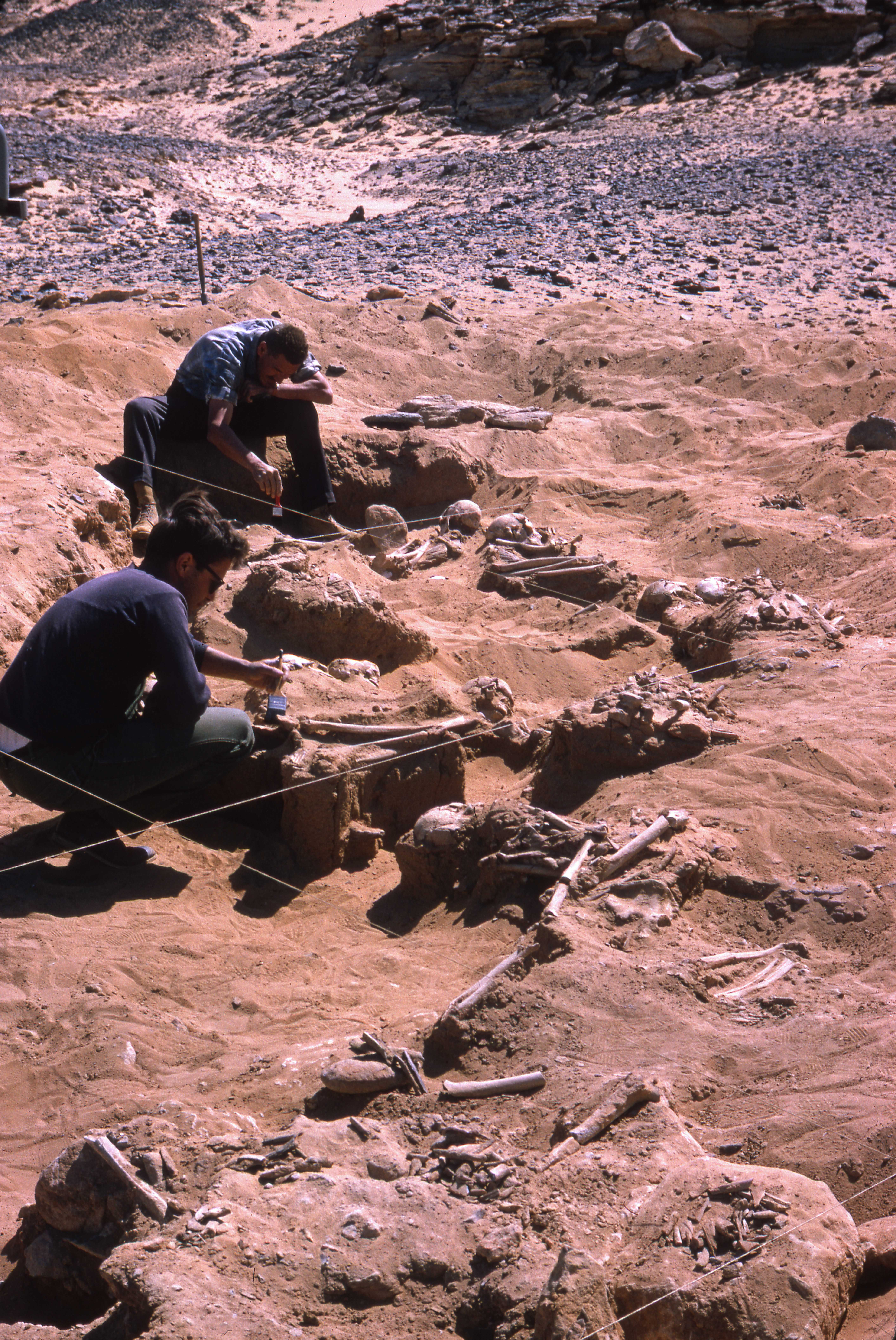 Investigating the Stone Age origins of violent raids | The Independent
